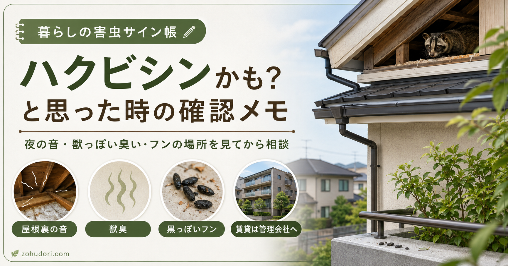 ハクビシンかもしれない時の確認メモ｜夜の音・獣臭・黒っぽいフンの確認